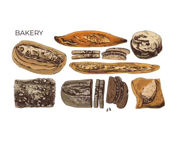 372 Bread Bread Ilustração Cor Gráficos Conjunto Cozimento Vetorial Baguete — Vetor de Stock