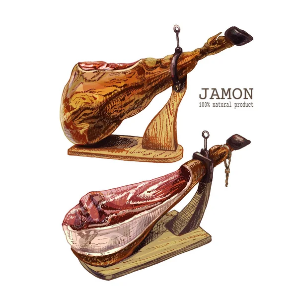 361 Jamon Spanish Jamon Tradycyjne Suszone Mięso Wieprzowina Szkic Szynki — Wektor stockowy