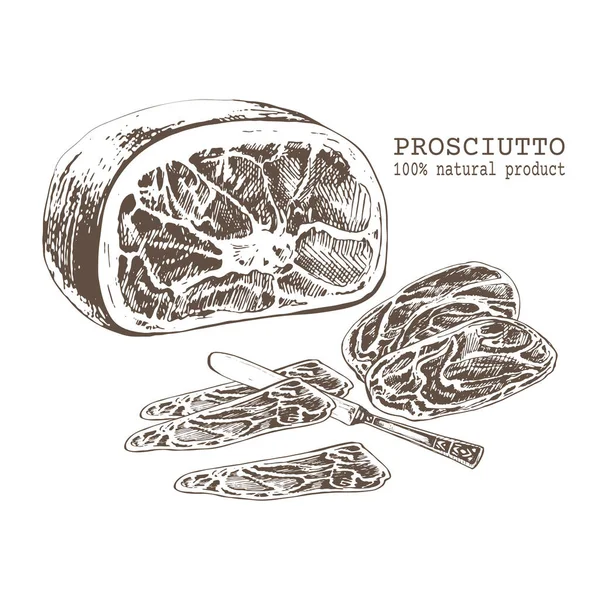 345 Prosciutto Jambon Italien Prosciutto Traditionnel Salé Porc Salé Croquis — Image vectorielle