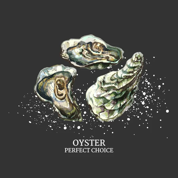 326 Oyster Ostra Desenho Realista Conjunto Ilustrações Gráficas Vetoriais Conchas —  Vetores de Stock