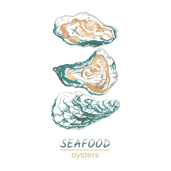 314 Oester Set Van Verse Oesters Schets Van Schelpen Vector — Stockvector