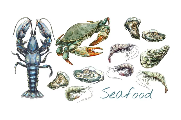 308_Lobster_Crab_Oyster_Shrimp Crab Lobster Oyster Shrimp Seafood Illustration Set Realistic Colorful — ストックベクタ