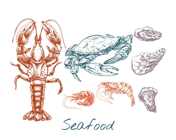 284_Lobster_Crab_Oyster_Shrimp Crab Lobster Oyster Shrimp Seafood Graphic Illustrations Set Realistic — Stock Vector