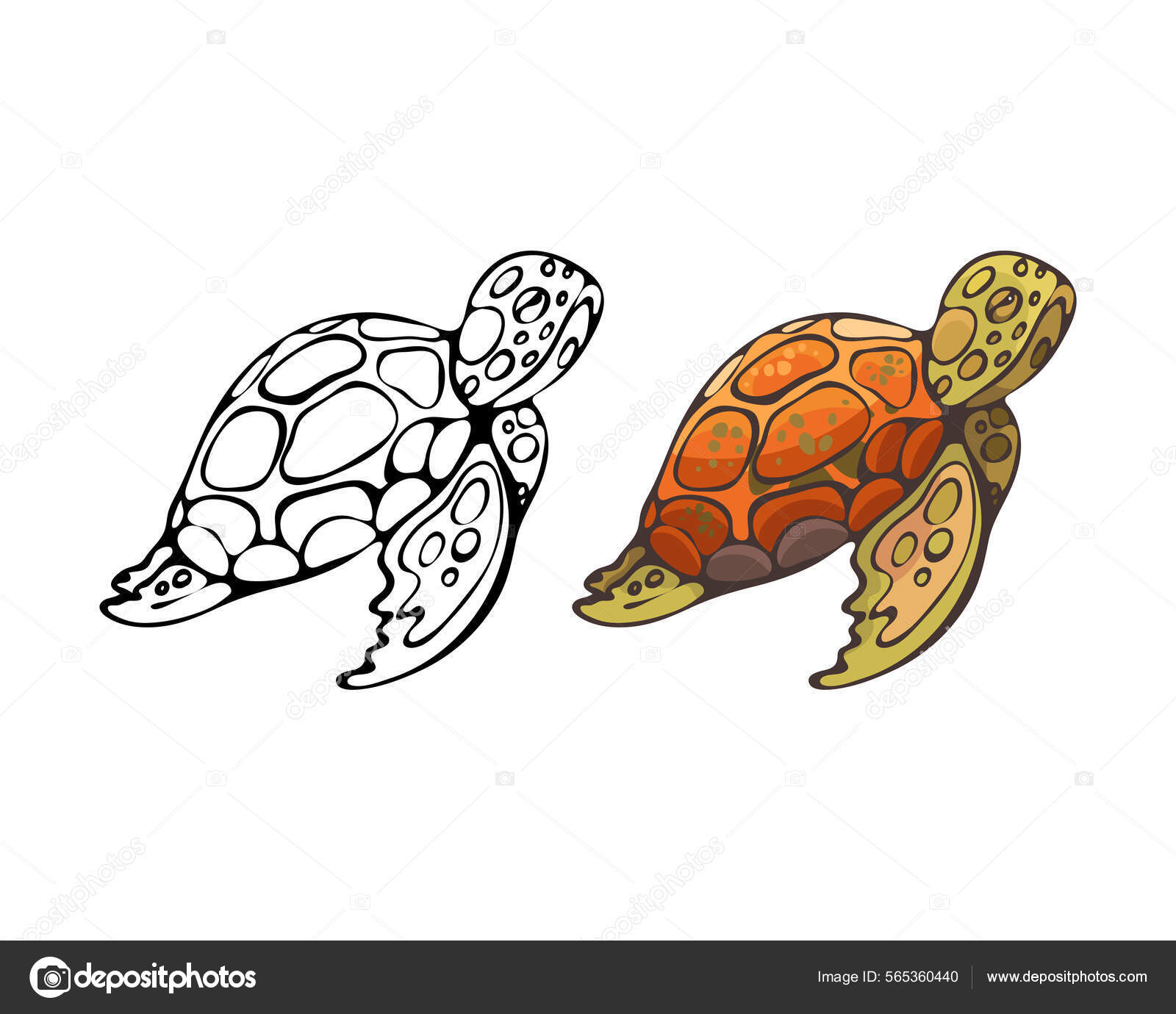 213_Marine Inhabitants Turtle Green Swims Sea Colorful Drawing White Black  Stock Vector Image by © #565360440