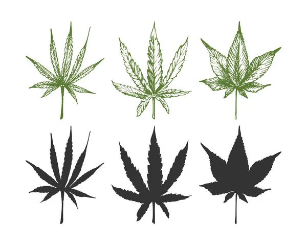 161_Cannabis Sativa Indica_Cannabis Leaves Hemp Branch Cannabis Leaf Icon Cannabis — Stockový vektor