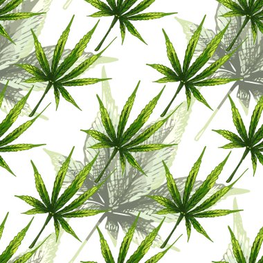 149 _ kenevir sativa, indica yeşil kenevir yaprağı ikonu, kenevir sativa, indica, beyaz arkaplan, pürüzsüz desen, ambalaj tasarımı, duvar kağıdı, kumaş, kağıt