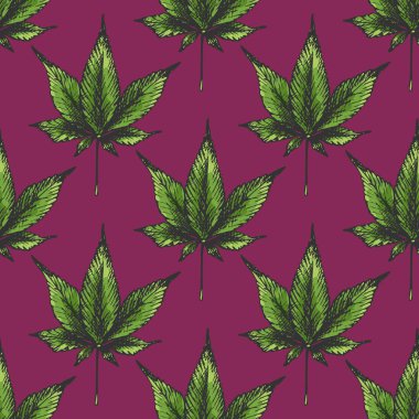 147 _ kenevir sativa, indica kenevir yaprağı simgesi, kenevir indikası, izole, beyaz arkaplan, pürüzsüz desen,