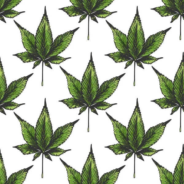 148 _ kenevir sativa, indica kenevir yaprağı simgesi, kenevir indikası, izole, beyaz arkaplan, pürüzsüz desen,