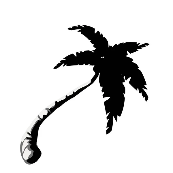 68_Sea Beach Palm Black White Silhouette Palm Tree White Background — Stock Vector