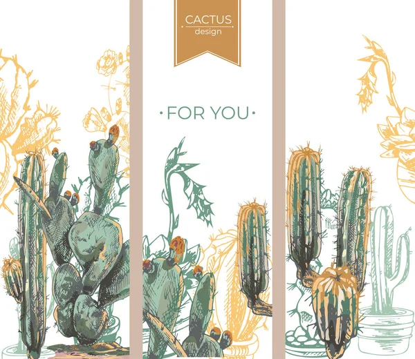 53_Desert Cactus Desert Cactus Design Set Floral Postcards Plant Backgrounds — Archivo Imágenes Vectoriales