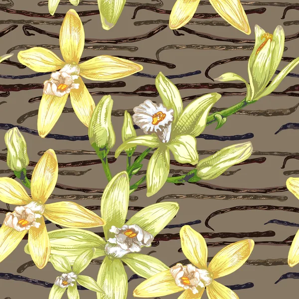 47_Vanilla Botanical Illustration Vanilla Orchidrealistic Drawing Sweet Fragrant Fresh Vanilla — Vetor de Stock