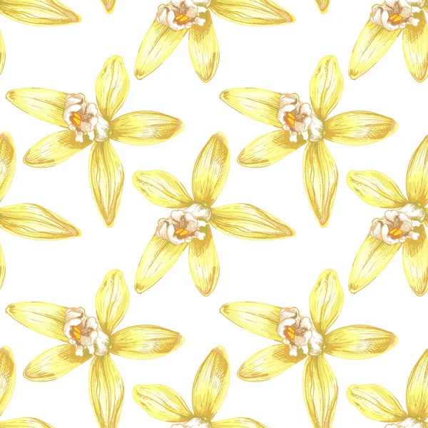 45_Vanilla Botanical Illustration Vanilla Orchid Realistic Drawing Sweet Fragrant Fresh — Vetor de Stock