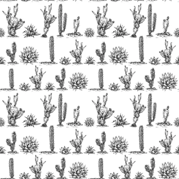 27 _ mavi agave grafik mavi agave, tekila ana bileşeni, çizim, vektör illüstrasyonu, agave kaktüsü çizimi, yan görünüm, pürüzsüz desen