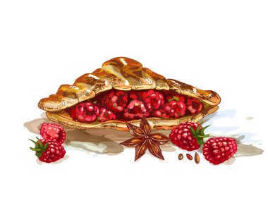683 _ croissant _ Strawberry Raspberry _ anice star fresh croissant with berries, sandwich with ahududu, star anise, vektör Illustration on a white background