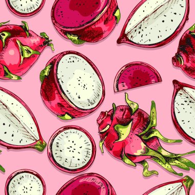 656 _ ejderha ejder meyvesi, vektör renkli çizimler, olgun meyve, pembe, yeşil, beyaz, bütün ve parçalar, egzotik tropikal meyve bütün ve parçalar, kusursuz desen, tropikal egzotik meyveler