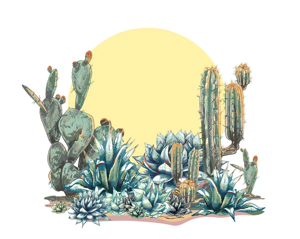 18_blue agave graphic colored blue agave, main ingredient of tequila, sketch, vector illustration isolated on white background, drawing of agave cactus, side view, colorful illustration, set, Desert Cactus