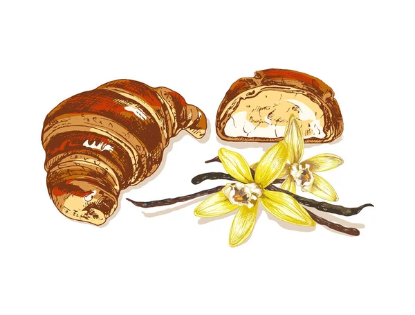 682 Croissant Vanilyalı Taze Kruvasan Hamur Tatlısı Tatlı Kremalı Vanilya — Stok Vektör