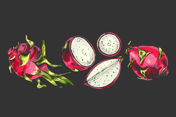 657 Drachenfrucht Drachenfrucht Vektor Bunte Illustrationen Reife Früchte Rosa Grün — Stockvektor