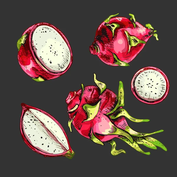 654_Fruit Dragon Exotic Tropical Fruits Whole Pieces Dragon Fruit Set — Vector de stock