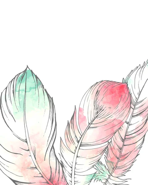 622_Feathers Birds Graphics Watercolor Pink Blue Bird Feathers White Background — Archivo Imágenes Vectoriales