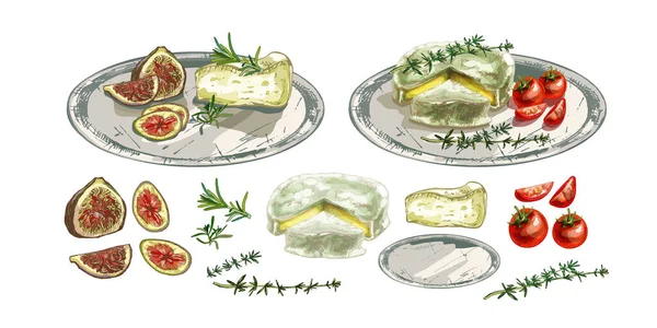 551_CHEESE, different varieties snack ingredients set, soft cheese, figs, rosemary, still life, green thyme, red cherry tomatoes, vector colorful illustration, products on a white background