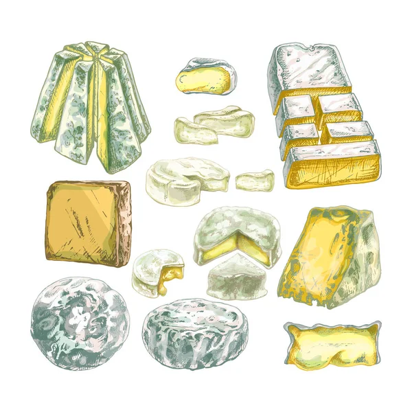 624_Cheese Sliced Soft Varieties_Cheese Different Varieties Soft Cheese Set Isolated — стоковый вектор