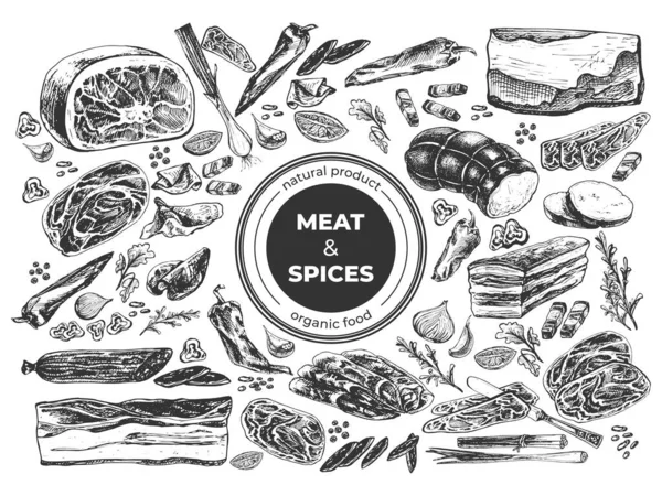 510_Meat Spices Meat Pork Beef Prosciutto Jamon Ham Idea Tenderloin — Stock vektor