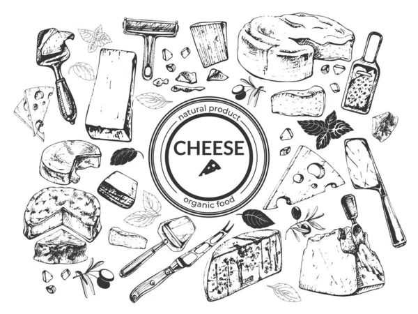 515_Cheese Different Varieties_Cheese Knife Cheese Different Varieties Olives Basil Graphic — Stock vektor
