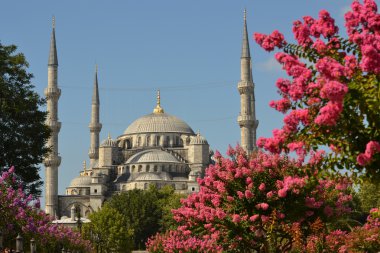 hiçbir şey bilmiyorum.