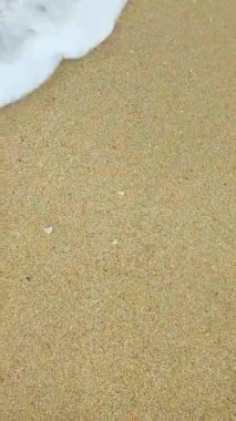 Ocean water rolling on the sand beach and then disapears in the short close up vertical video.