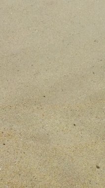 Ocean water rolling on the sand beach and then disapears in the short close up vertical video.