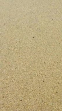 Ocean water rolling on the sand beach and then disapears in the short close up vertical video.