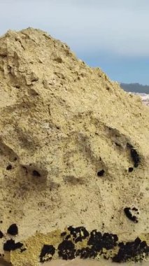 Atlantic ocean shoreline of the Nazare beach in Portugal short vertical video