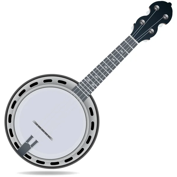 Banjo fiddle instrument — Stock Vector