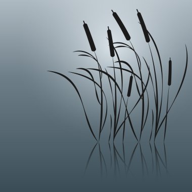 Background with sedge clipart