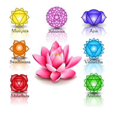 Lotus ve yedi çakra