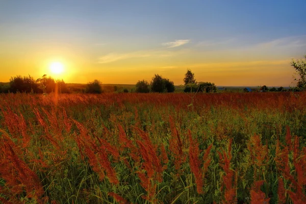 Zomer landschap: schoonheid zonsondergang — Stockfoto