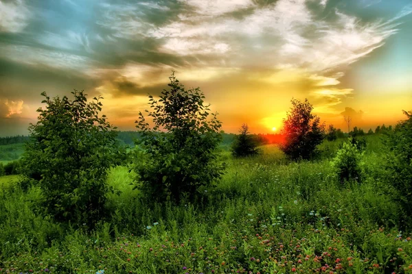 Zomer landschap: schoonheid zonsondergang — Stockfoto