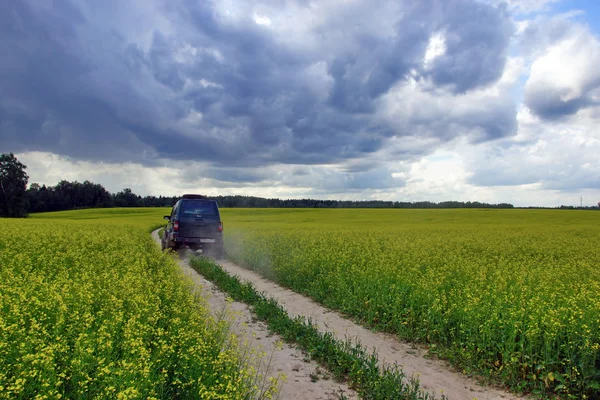 Car 4x4 on the rape field in cloudy day — Stock Photo, Image