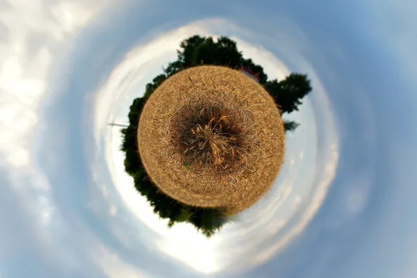 Campo de trigo. Pequeño planeta panorama con nubes y espigas de trigo —  Fotos de Stock
