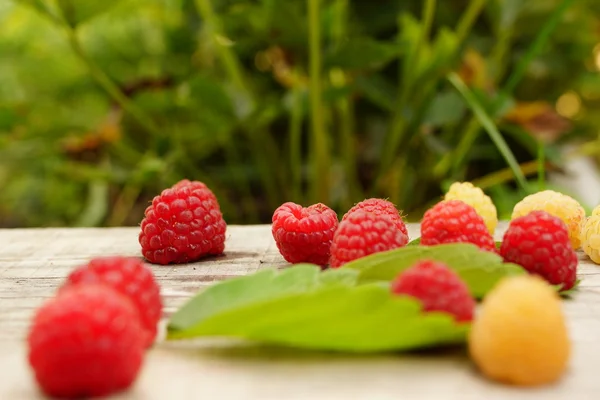 The composition of the ripe and juicy berries of raspberry — Stock Photo, Image