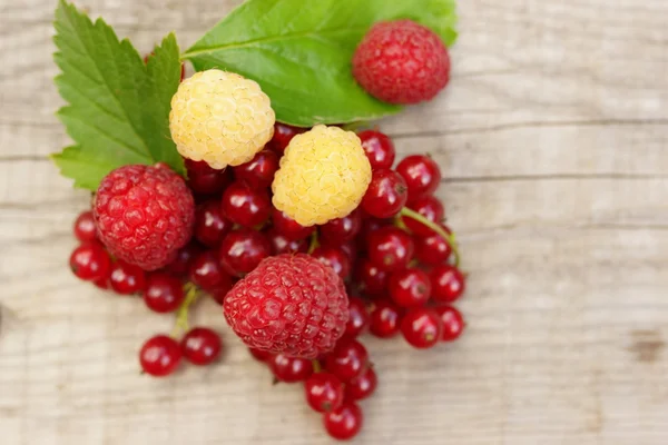 The composition of the ripe and juicy berries currant and raspberry — Stock Photo, Image