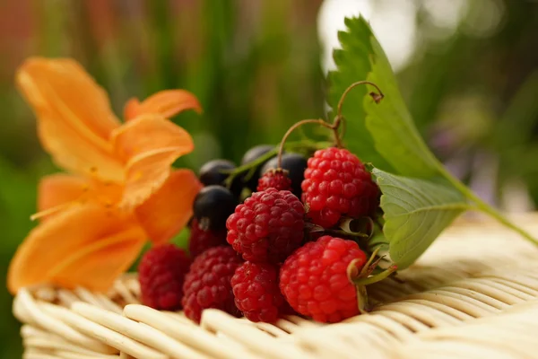 Sweet summer berries: strawberries, currant, raspberry — Stock Photo, Image