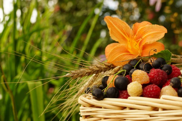 Köstliche Sommerbeeren — Stockfoto