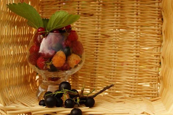 Reife Sommerbeeren — Stockfoto