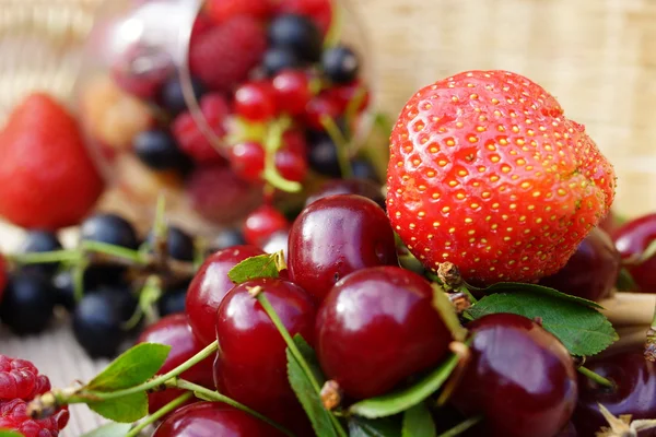 Ripe summer berries — Stock Photo, Image