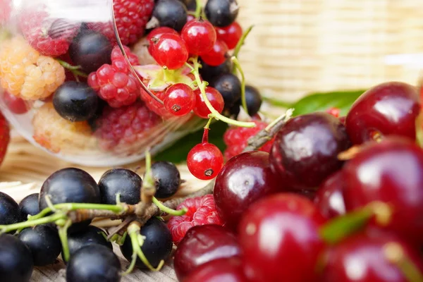 Ripe summer berries — Stock Photo, Image