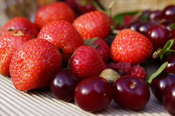 Bayas maduras de verano — Foto de Stock