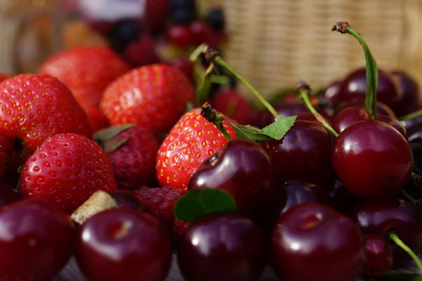 Ripe summer berries — Stock Photo, Image