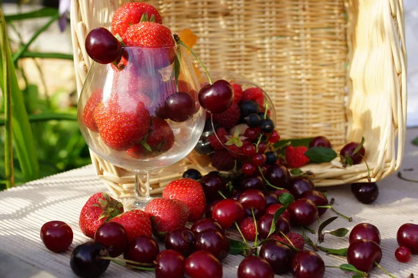 Frutos de verão maduros — Fotografia de Stock